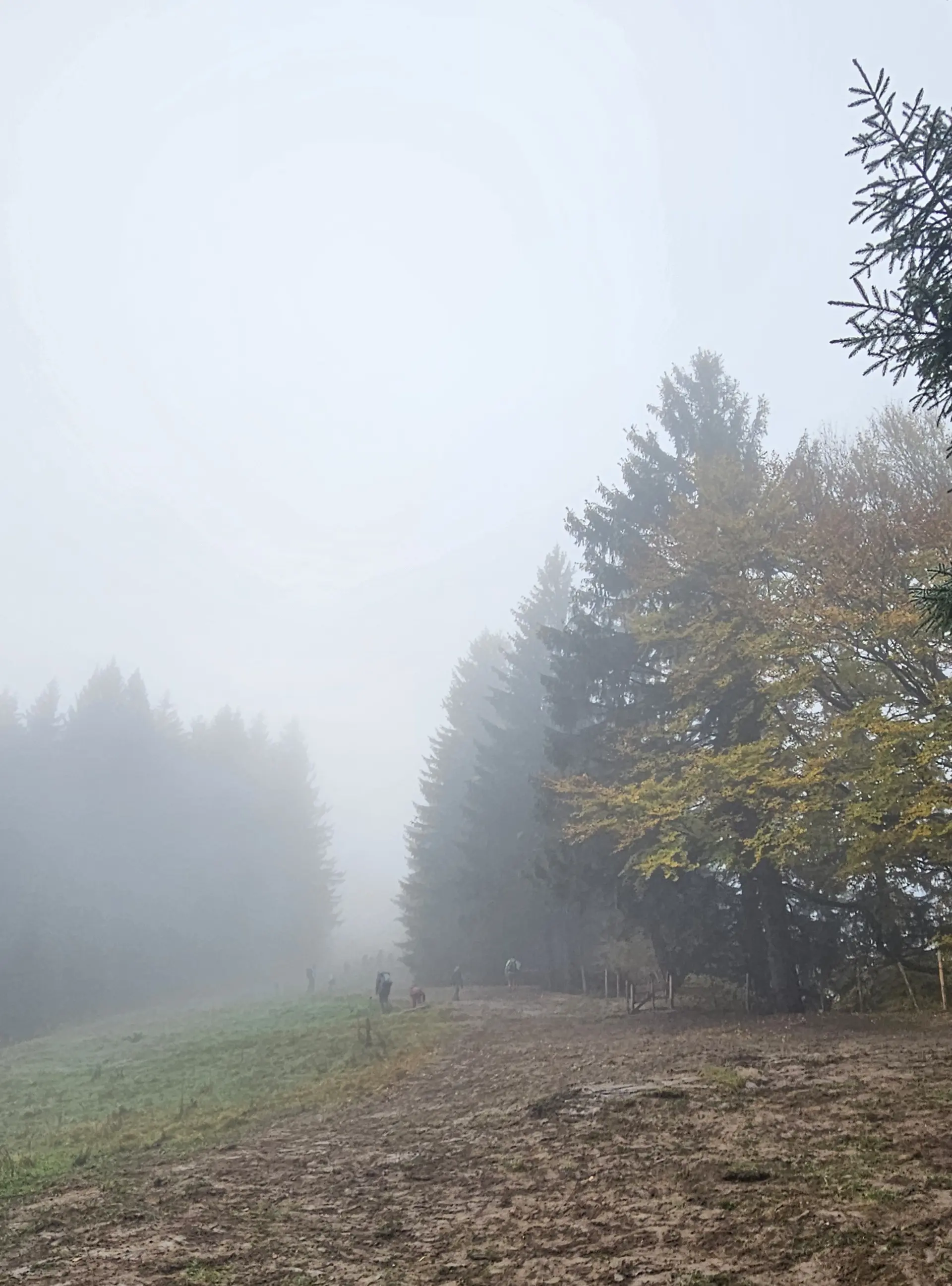 Über den Wolken am Grünten | © DAV/Mareen Mühle