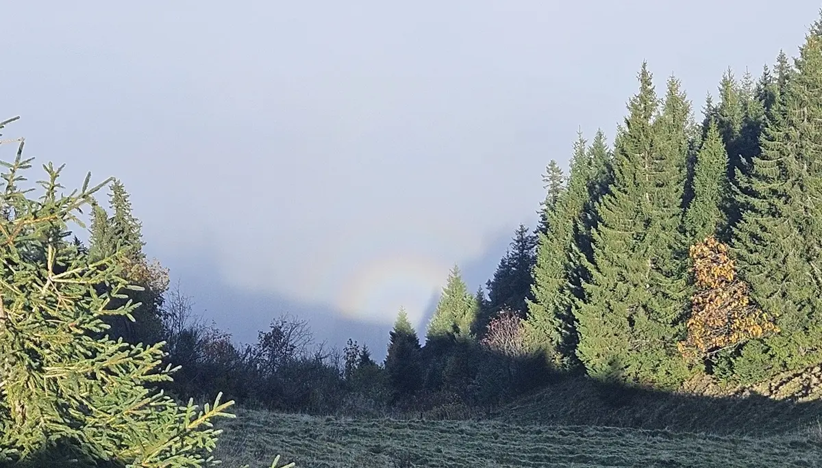 Über den Wolken am Grünten | © DAV/Mareen Mühle
