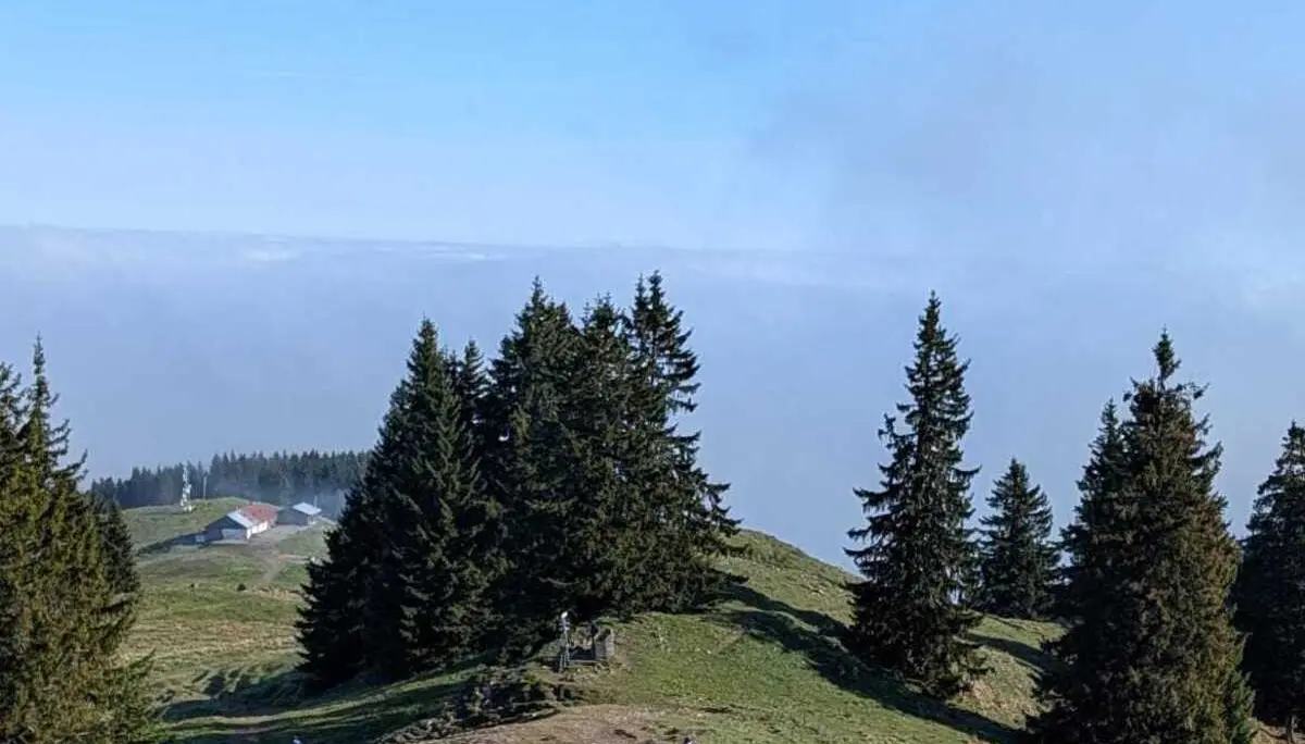 Über den Wolken am Grünten | © DAV/Mareen Mühle