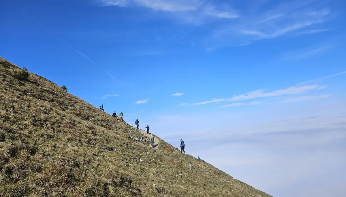 Über den Wolken am Grünten | © DAV/Mareen Mühle