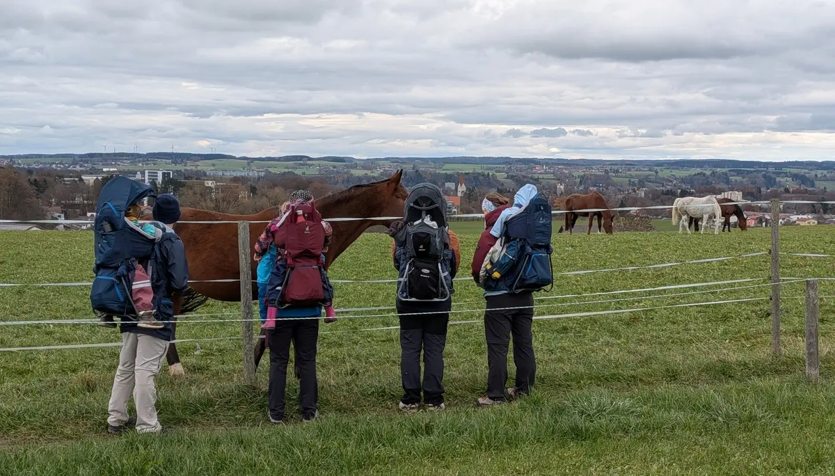 Die Steilwandstöpsel am Römerturm | © DAV/Sophie Scupin