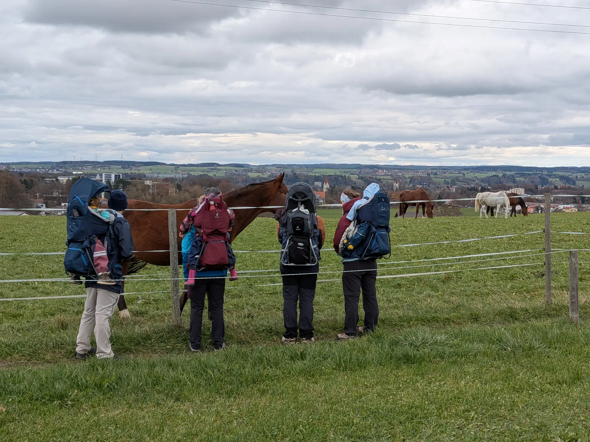 Die Steilwandstöpsel am Römerturm | © DAV/Sophie Scupin