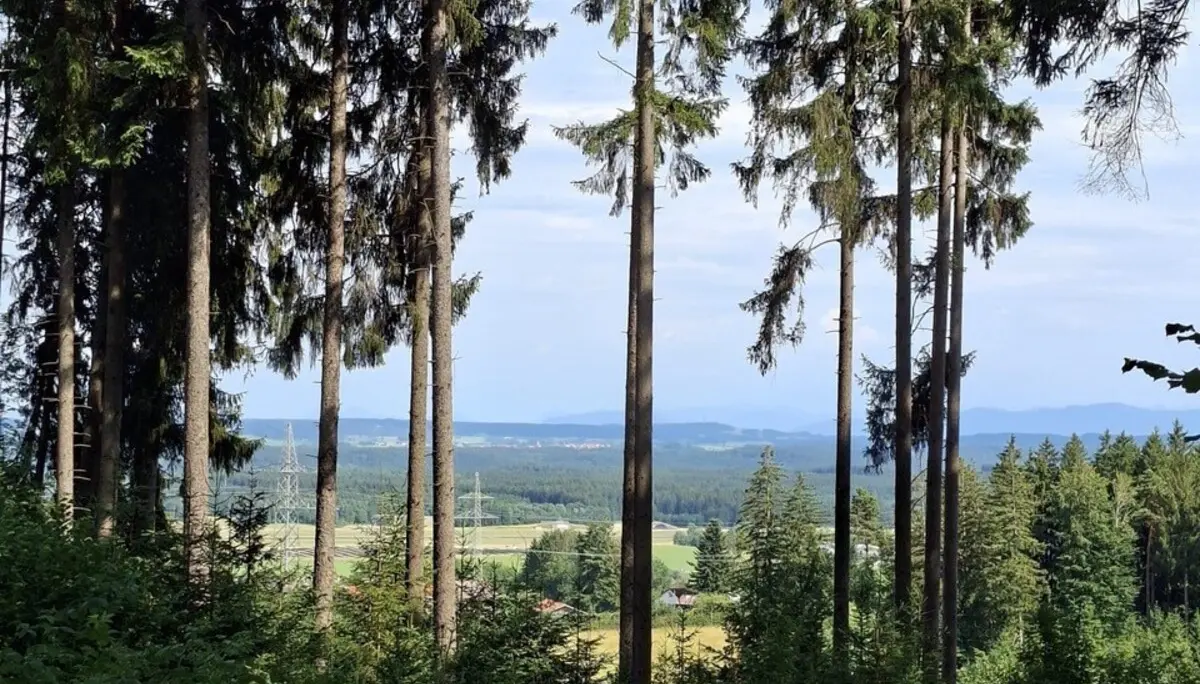 Badeausflug zum Waldabenteuer | © DAV/Sophie Scupin