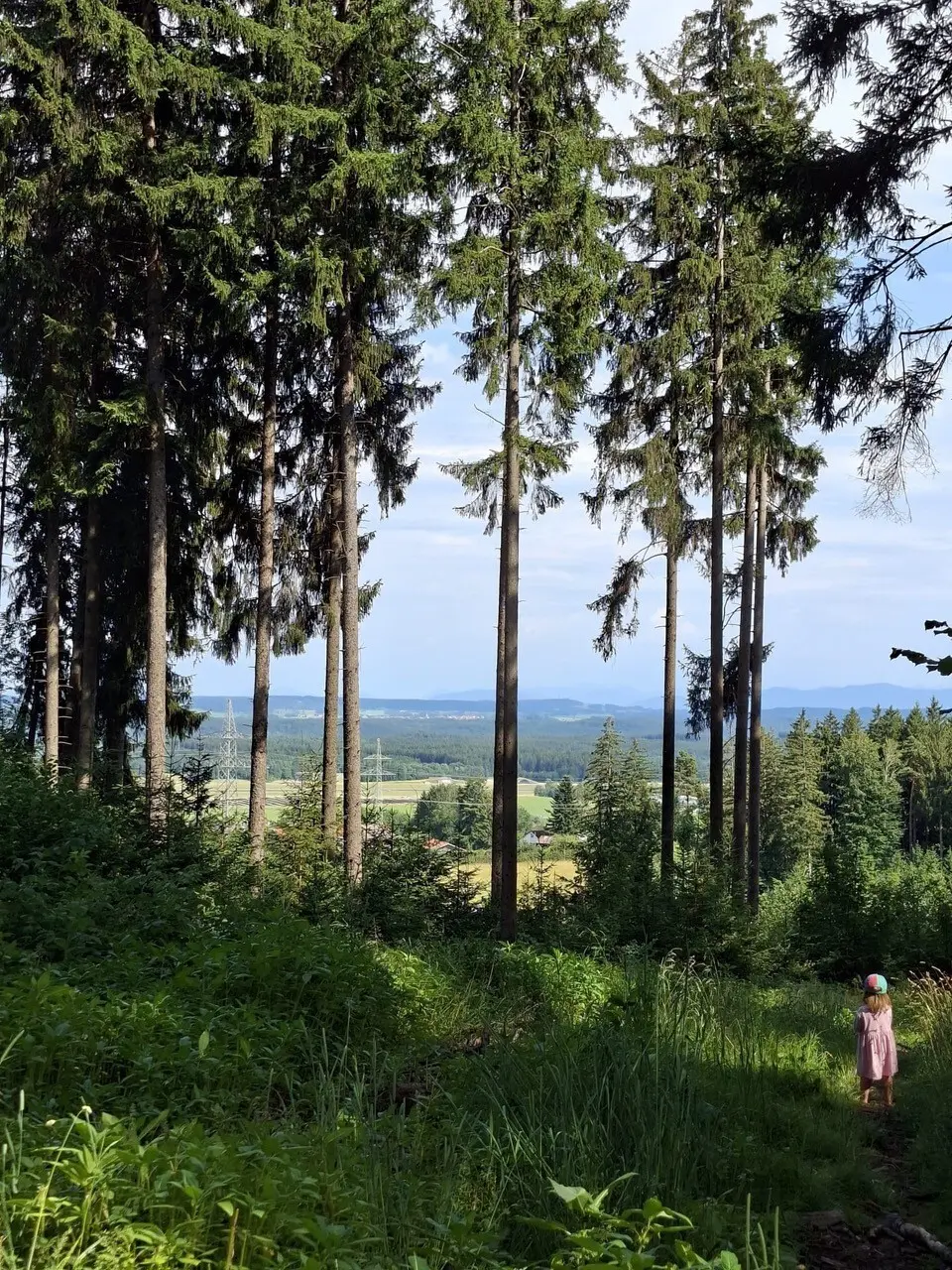 Badeausflug zum Waldabenteuer | © DAV/Sophie Scupin