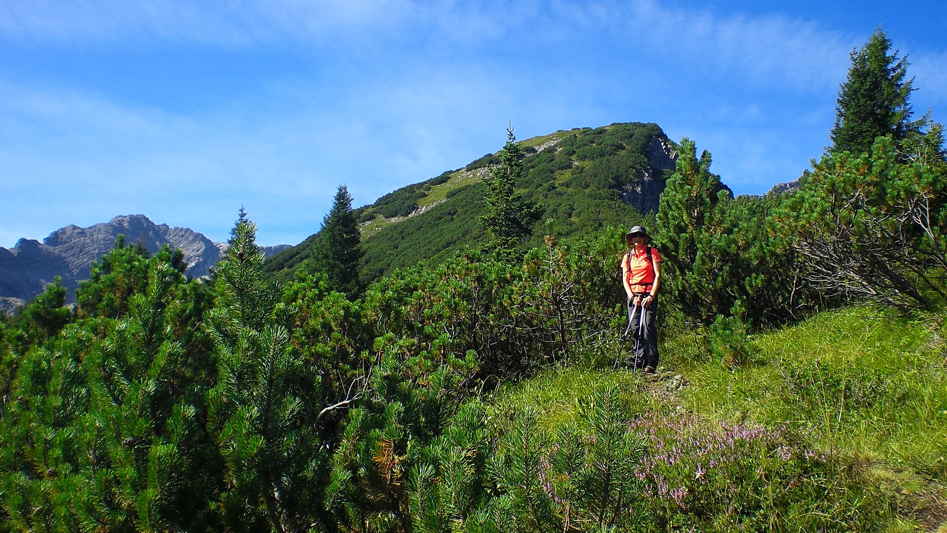 unterwegs in der Latschenzone | © DAV/Siegfried Stanzel