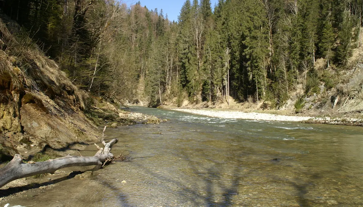 Die Ammer im Bereich der Schleierfälle | © DAV/Margaretha Jehle