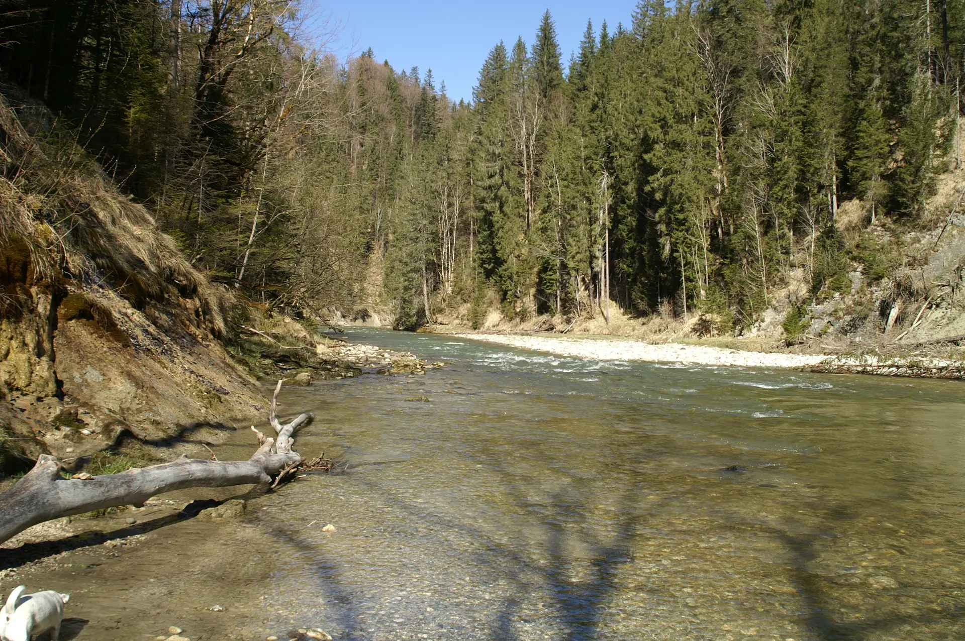 Die Ammer im Bereich der Schleierfälle | © DAV/Margaretha Jehle