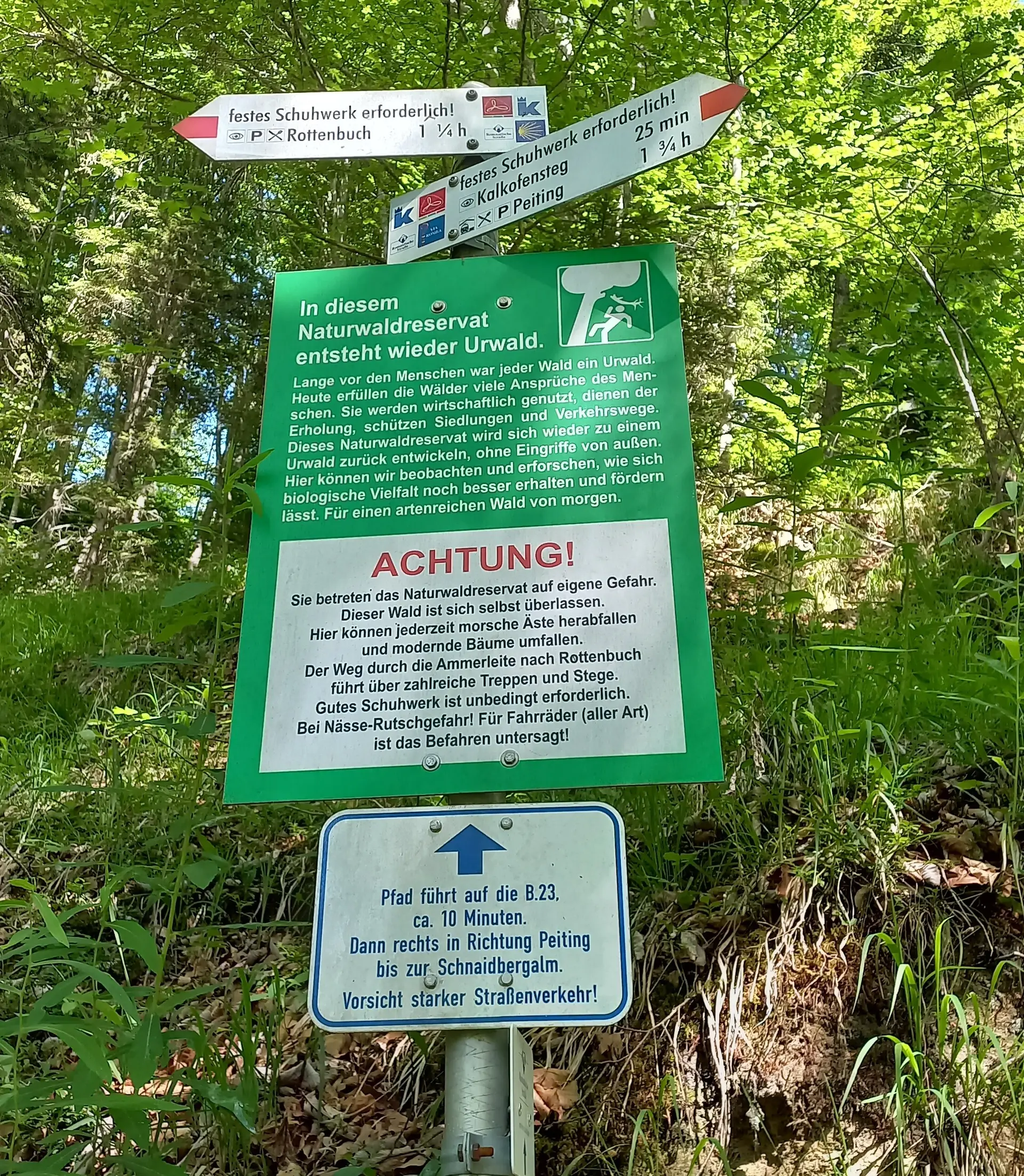 Rundwanderung durch das Naturwaldreservat der Ammerleite | © DAV/Margaretha Jehle