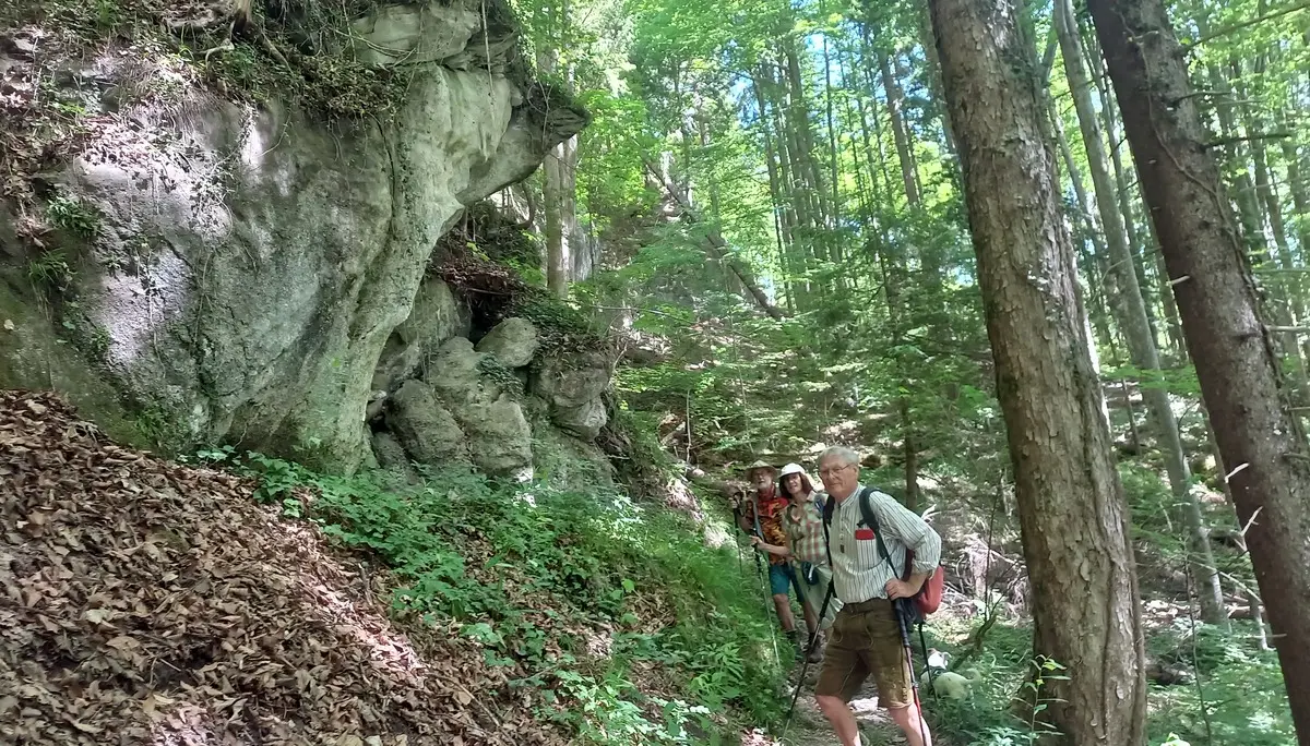 Rundwanderung durch das Naturwaldreservat der Ammerleite | © DAV/Margaretha Jehle