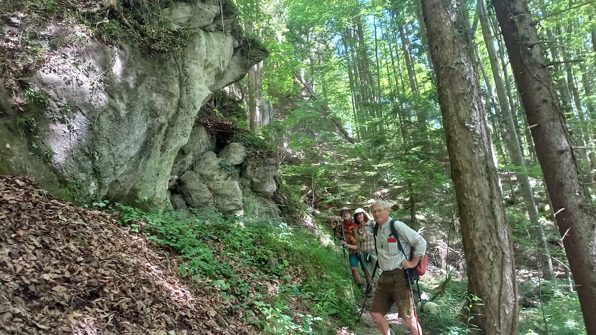 Rundwanderung durch das Naturwaldreservat der Ammerleite | © DAV/Margaretha Jehle