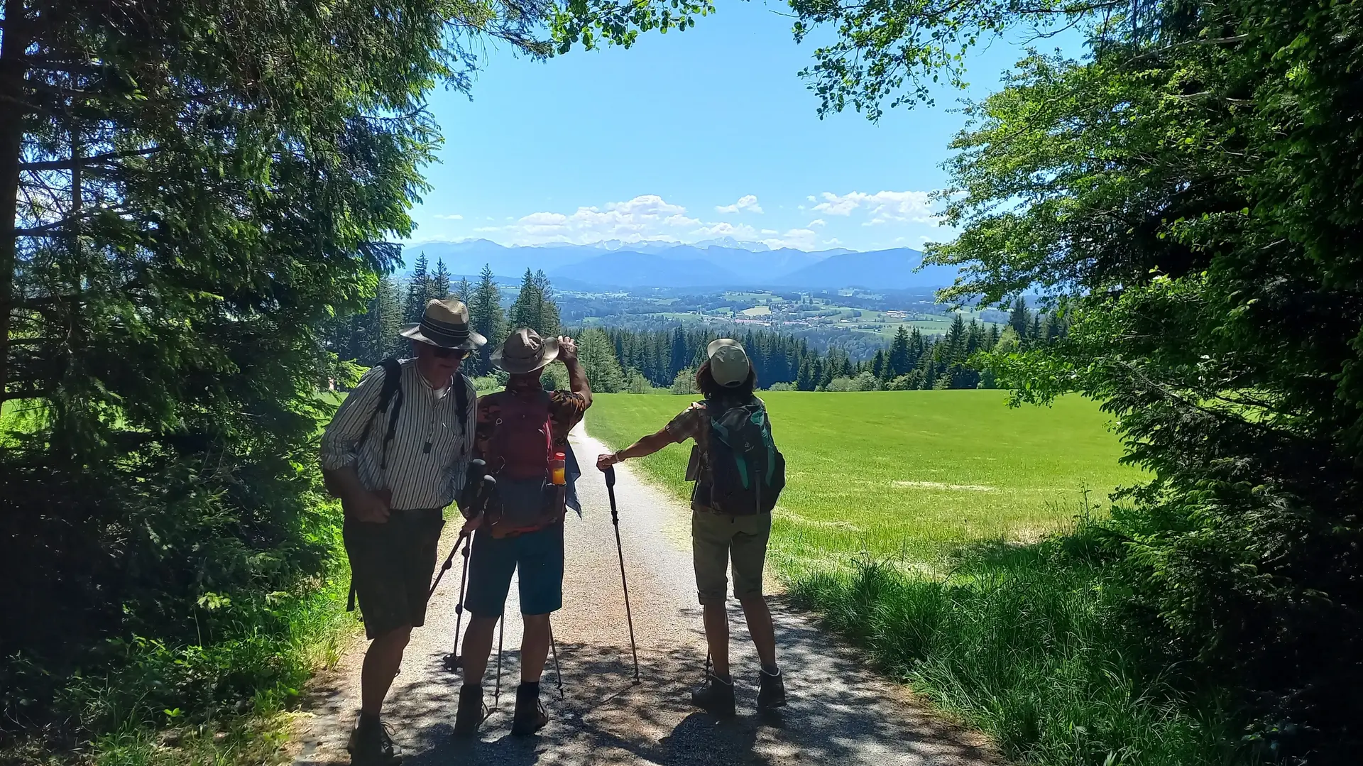 Rundwanderung durch das Naturwaldreservat der Ammerleite | © DAV/Margaretha Jehle