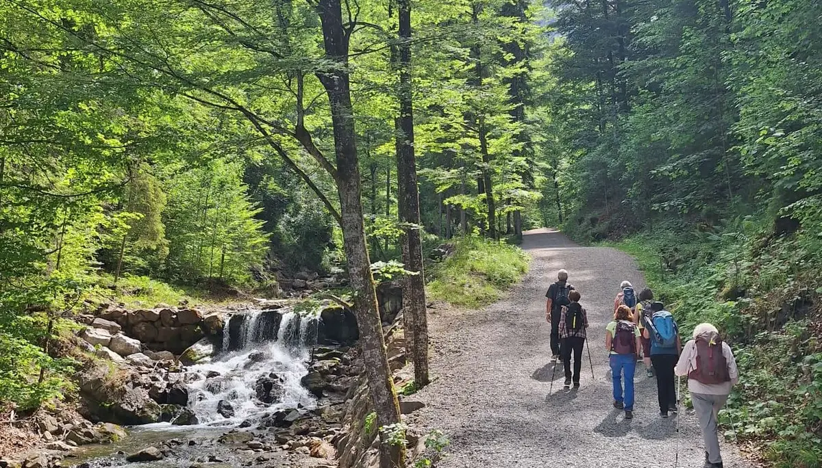 Wanderung von Reichenbach über den Wallrafweg nach Oberstdorf | © DAV/Margaretha Jehle