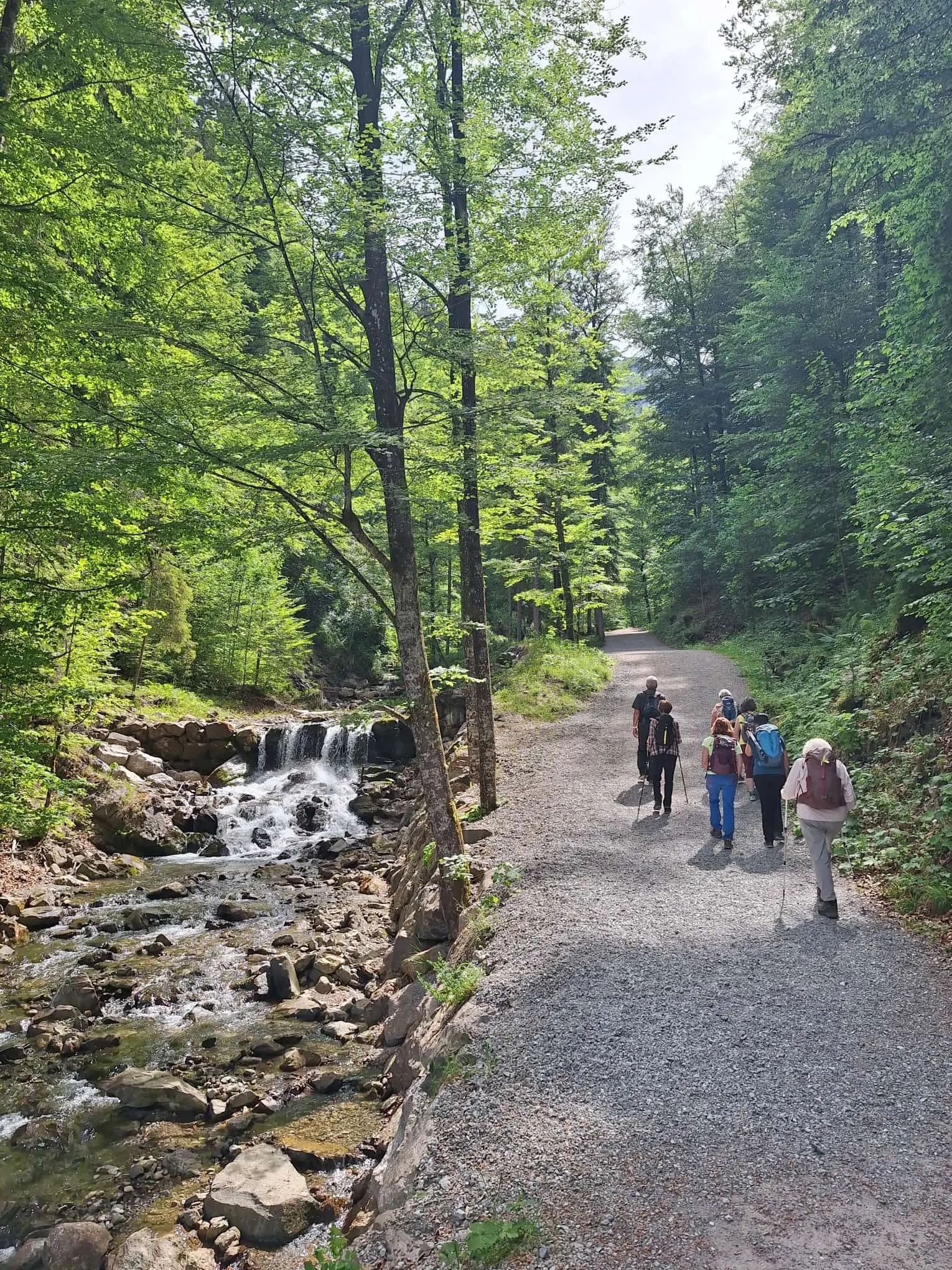 Wanderung von Reichenbach über den Wallrafweg nach Oberstdorf | © DAV/Margaretha Jehle