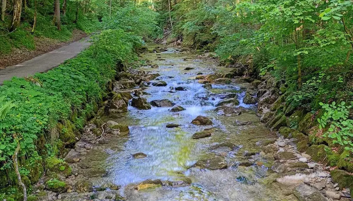 Entlang der Tiroler Ache | © Maria-Theresia Schneider