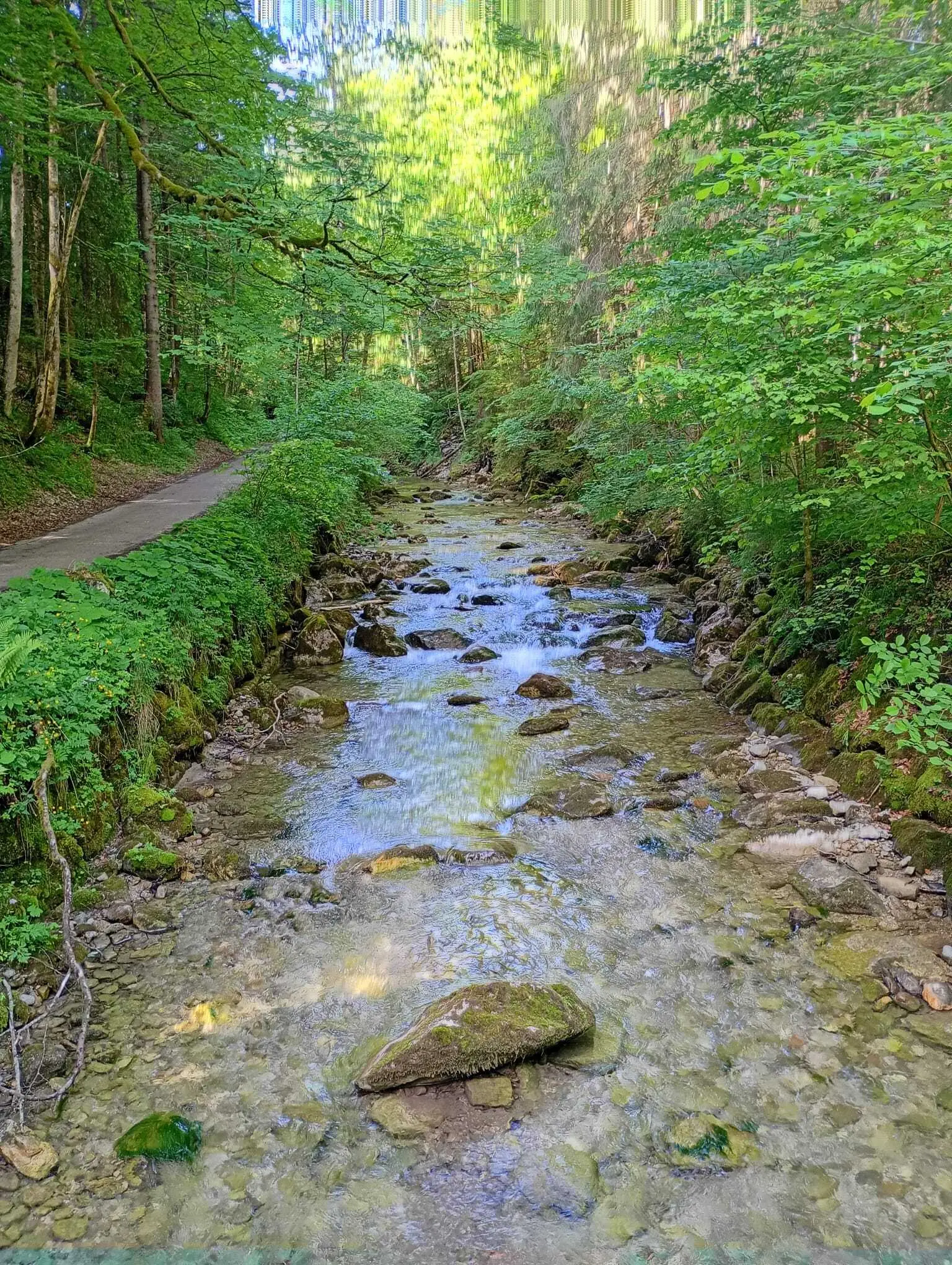 Entlang der Tiroler Ache | © Maria-Theresia Schneider