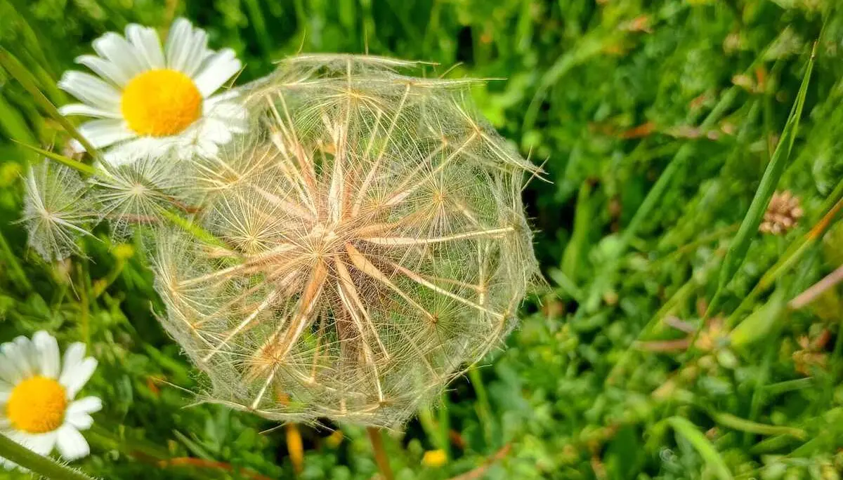 Schöne Flora am ganzen Weg | © Maria-Theresia Schneider