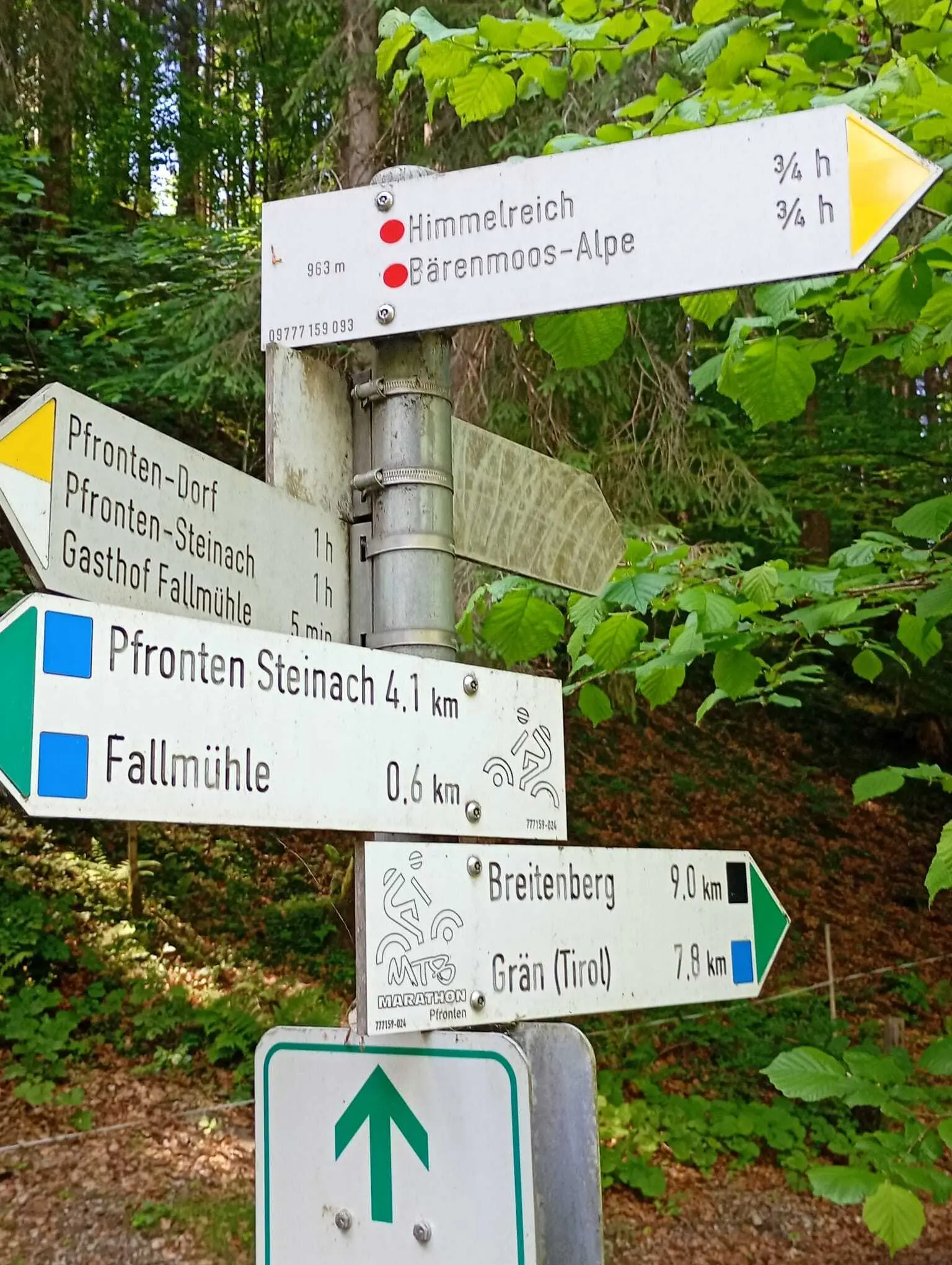 Abzweigung Richtung Milchhäusle | © Maria-Theresia Schneider