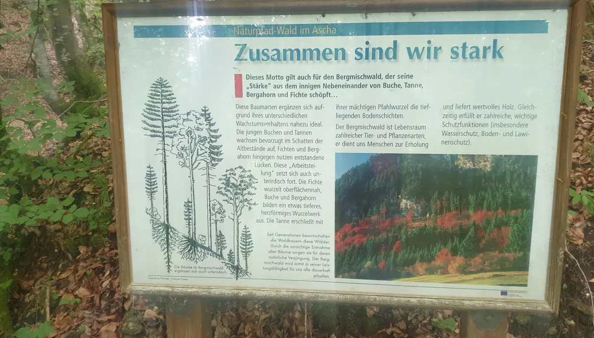 Wanderweg Richtung Milchhäusle | © DAV/Helga Obermüller