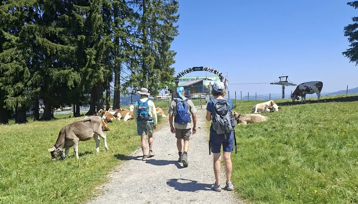 Wanderung von Gunzesried zum Ofterschwanger Horn | © DAV/Helga Obermüller