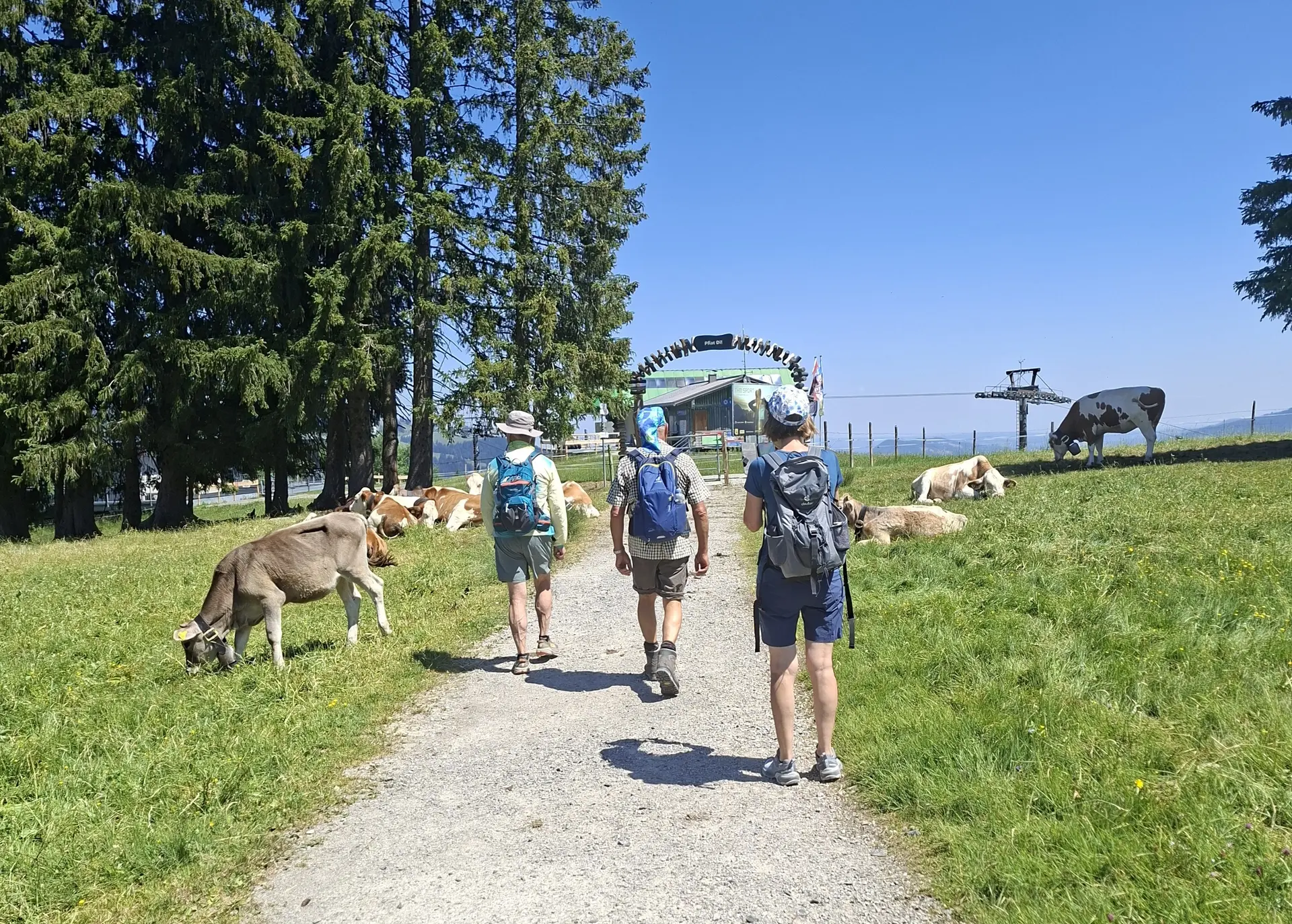 Wanderung von Gunzesried zum Ofterschwanger Horn | © DAV/Helga Obermüller