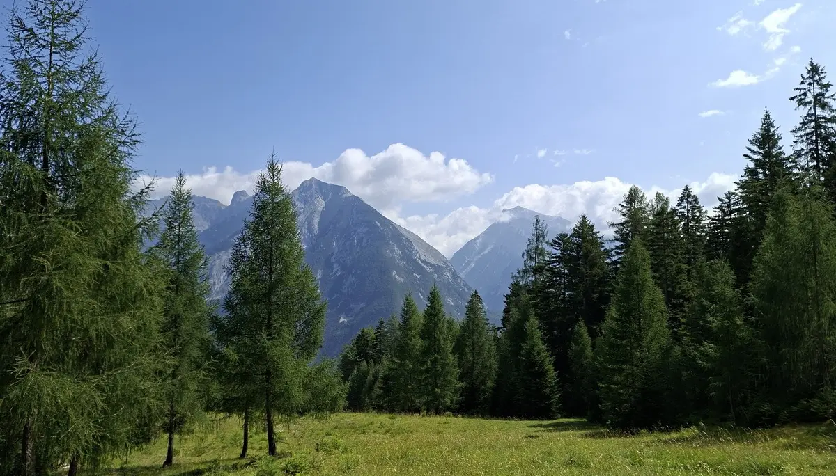 Wanderung im Karwendelgebiet | © DAV/Helga Obermüller