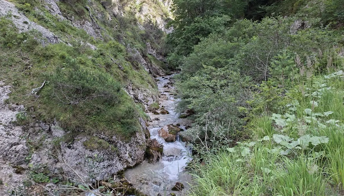 Wanderung im Karwendelgebiet - Rückweg am Gießenbach entlang | © DAV/Helga Obermüller