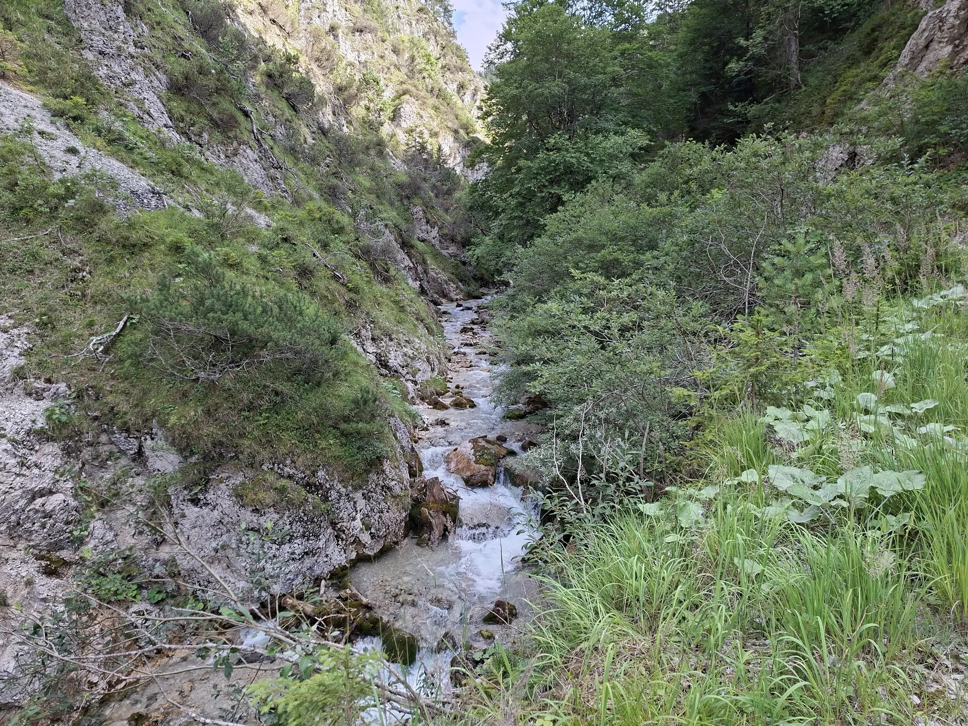 Wanderung im Karwendelgebiet - Rückweg am Gießenbach entlang | © DAV/Helga Obermüller