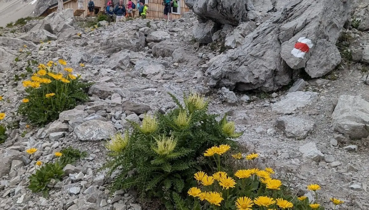 Wanderwoche in Bludenz | © DAV/Beate Schak