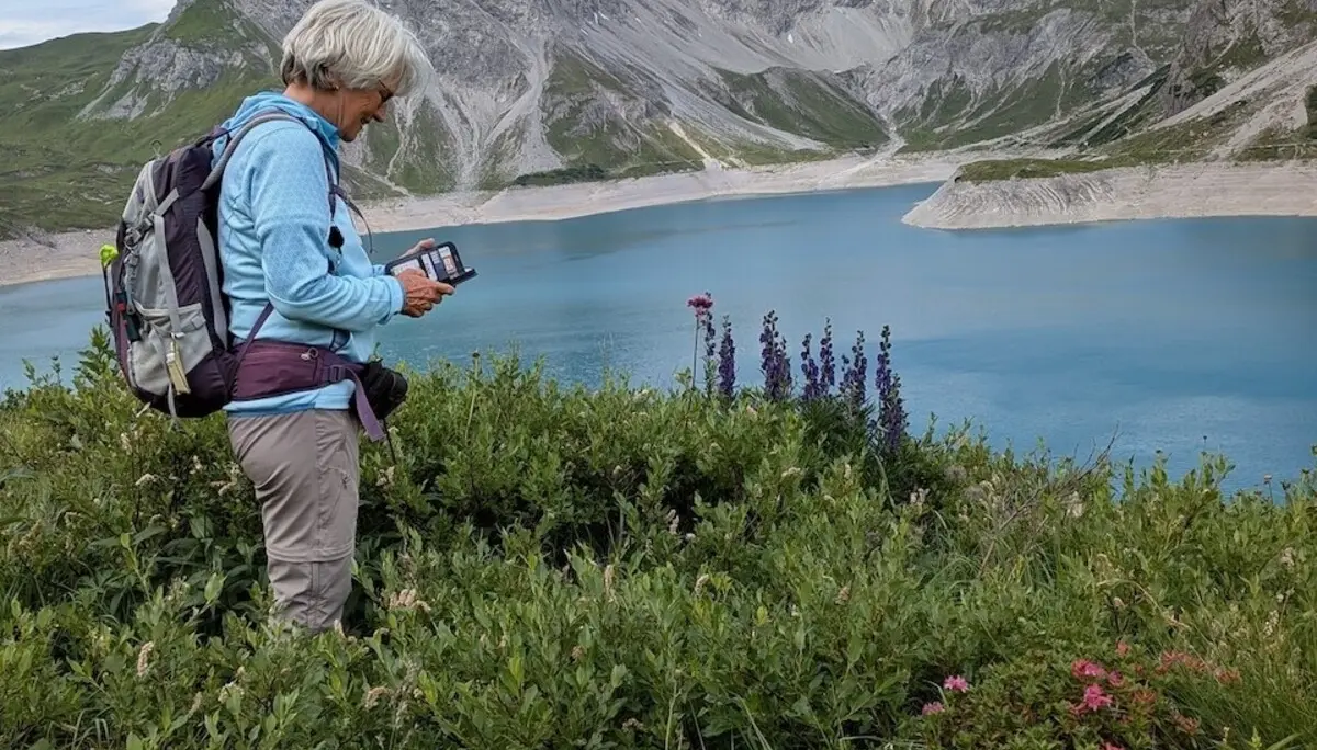 Wanderwoche in Bludenz - Alpenrosen und Eisenhut | © DAV/Beate Schak
