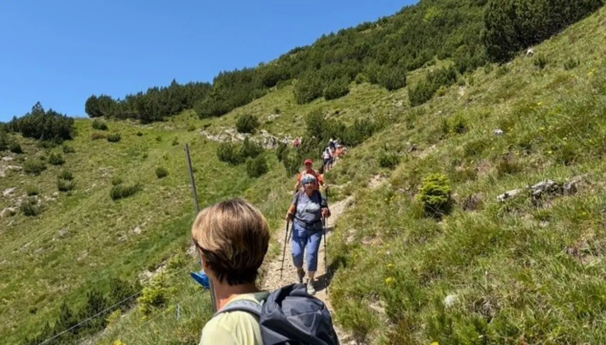 Wanderwoche in Bludenz - Aufstieg zum Sattel | © DAV/Beate Schak