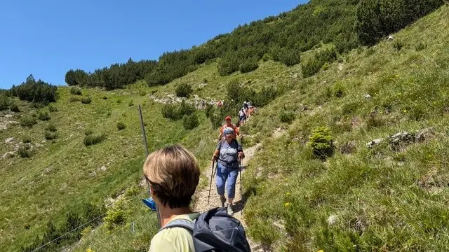 Wanderwoche in Bludenz - Aufstieg zum Sattel | © DAV/Beate Schak