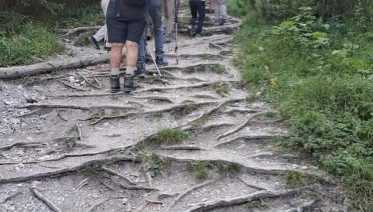 Wanderwoche in Bludenz - Im Abstieg | © DAV/Beate Schak