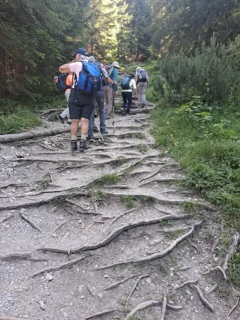 Wanderwoche in Bludenz - Im Abstieg | © DAV/Beate Schak