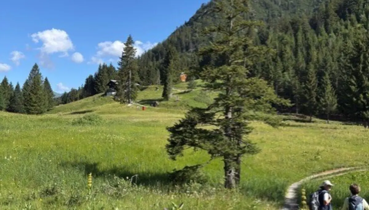 Wanderwoche in Bludenz | © DAV/Beate Schak