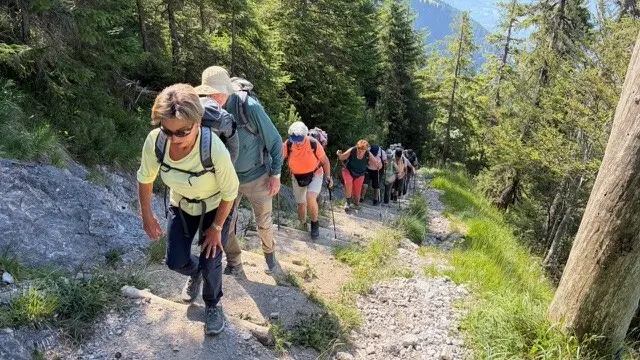 Wanderwoche in Bludenz - Gruppe 2 am Aufstieg | © DAV/Beate Schak