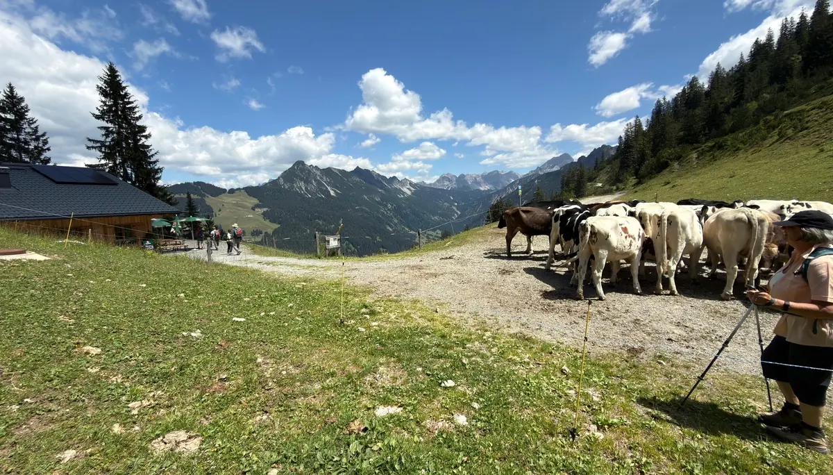 Wanderwoche in Bludenz - Tag 4 Muttersberg | © DAV/Beate Schak