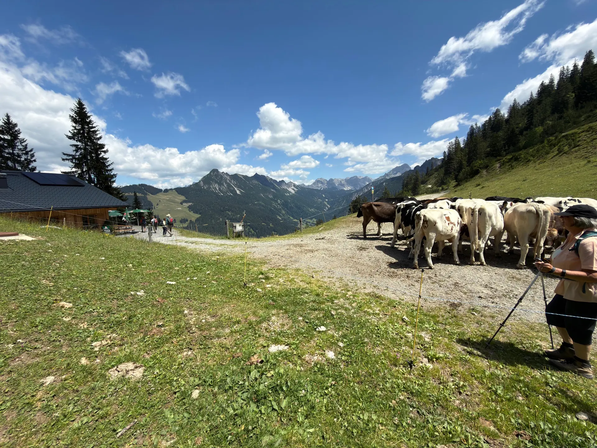 Wanderwoche in Bludenz - Tag 4 Muttersberg | © DAV/Beate Schak