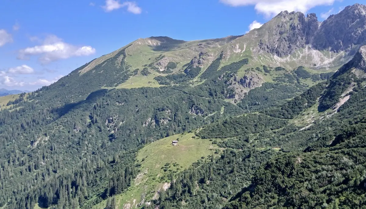 Bergtour im Wildental/Kleinwalsertal - Blick auf die Vordere Wildenalpe | © DAV/Siegfried Stanzel