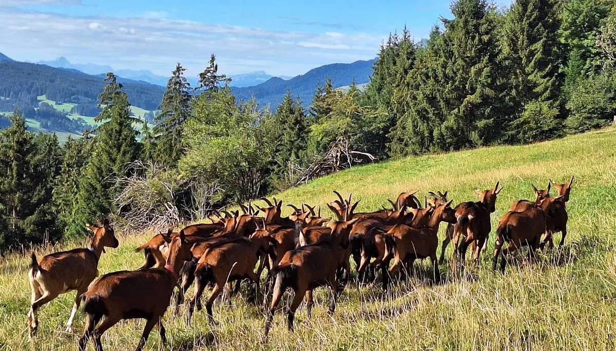 Wanderung auf die Elleg-Höhe | © Antje Hofmann
