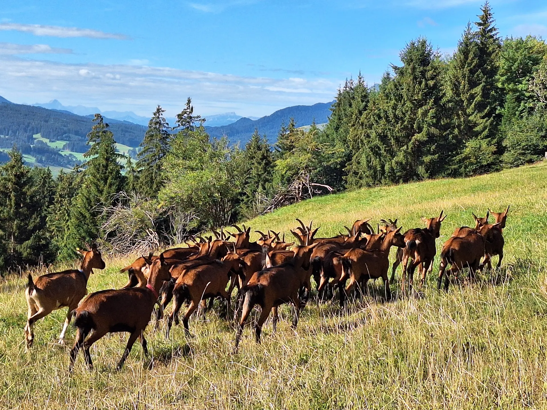 Wanderung auf die Elleg-Höhe | © Antje Hofmann