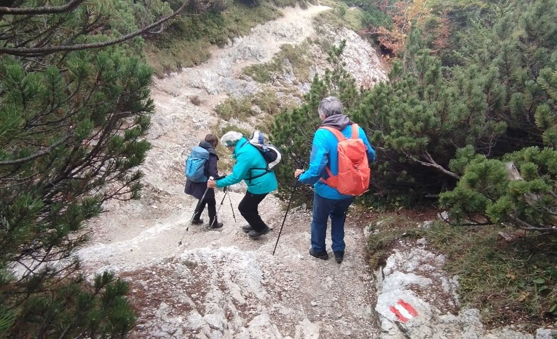 Wanderung auf den Aggenstein | © Alena Srovnalova