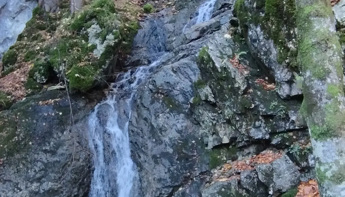 Wanderung durch die Reichenbachklamm zur Hochalphütte | © Alena Srovnalova