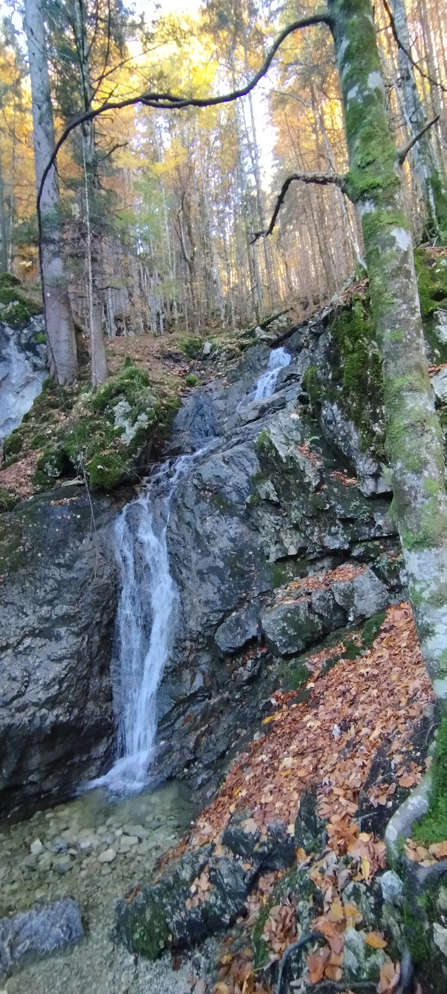 Wanderung durch die Reichenbachklamm zur Hochalphütte | © Alena Srovnalova