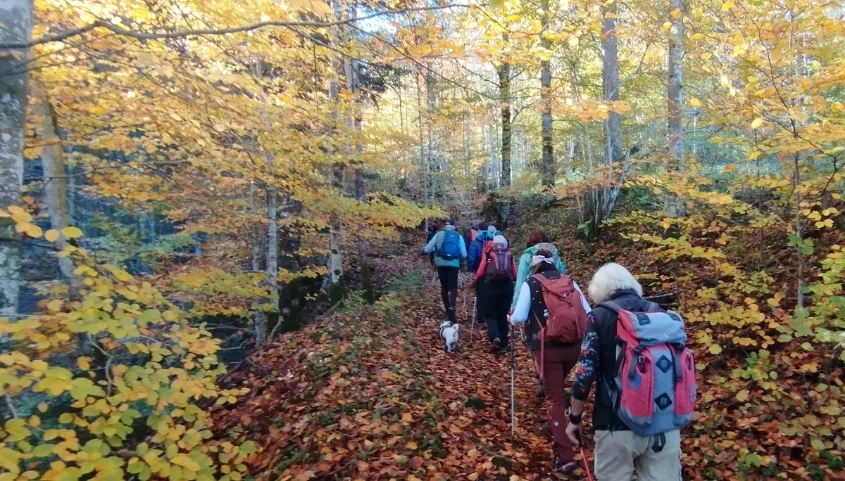 Wanderung durch die Reichenbachklamm zur Hochalphütte | © Alena Srovnalova