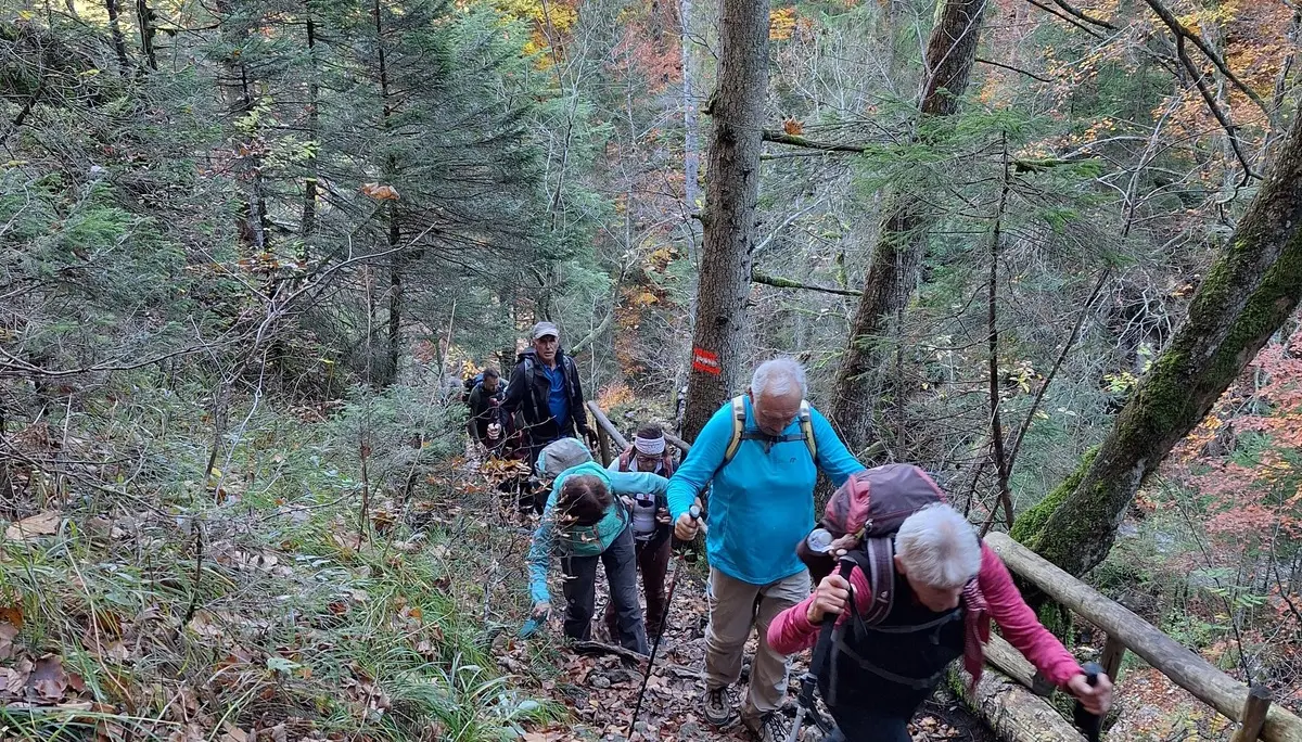 Wanderung durch die Reichenbachklamm zur Hochalphütte | © Antje Hofmann