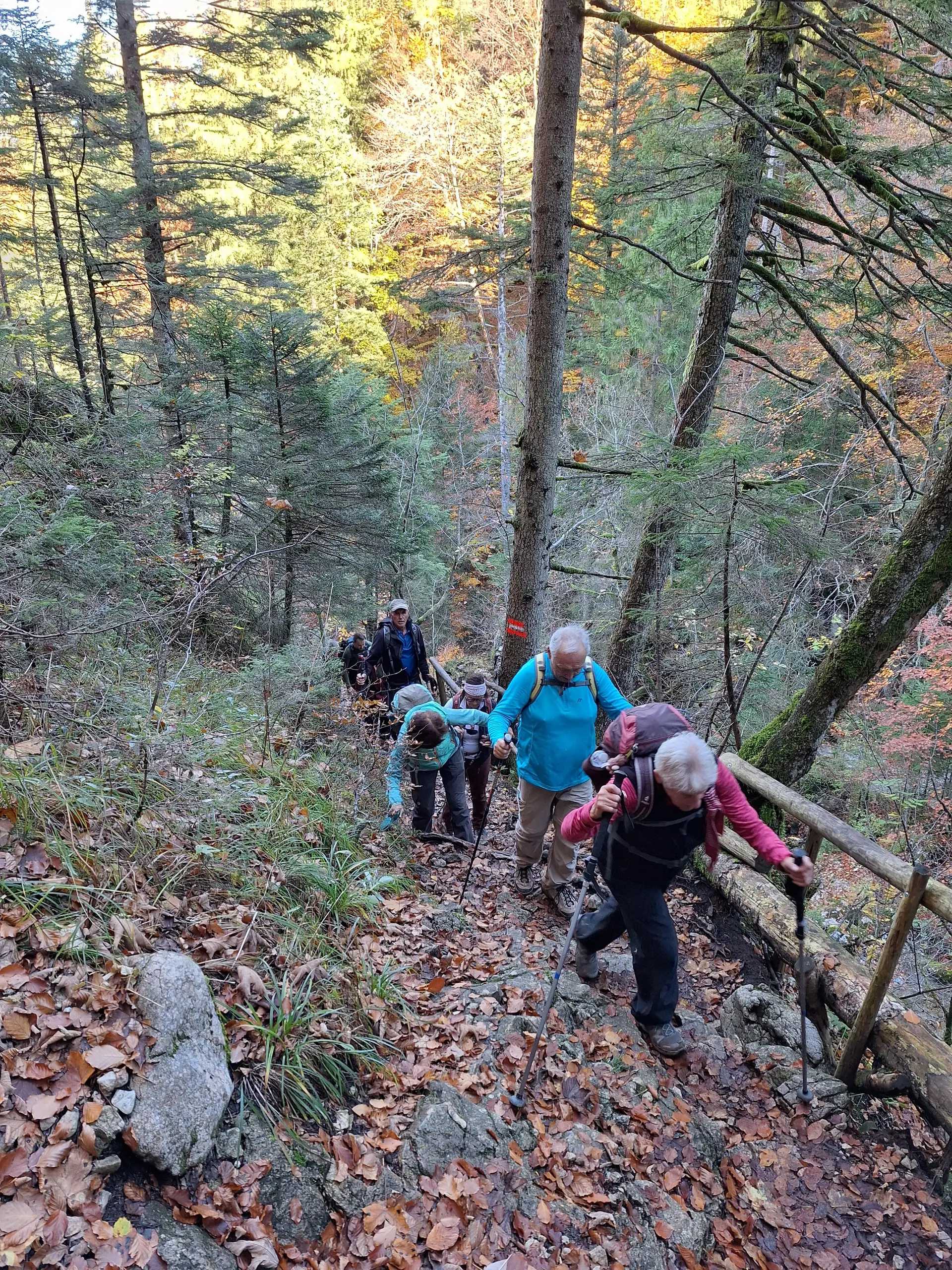 Wanderung durch die Reichenbachklamm zur Hochalphütte | © Antje Hofmann