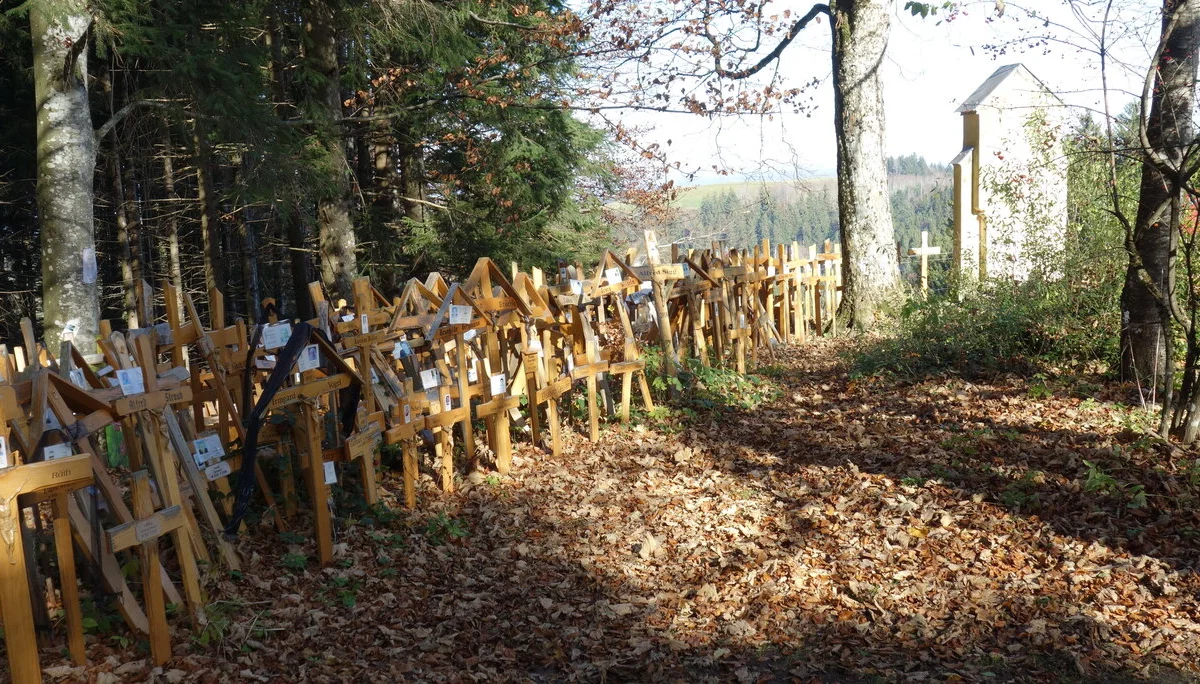 © DAV/Siegfried Stanzel