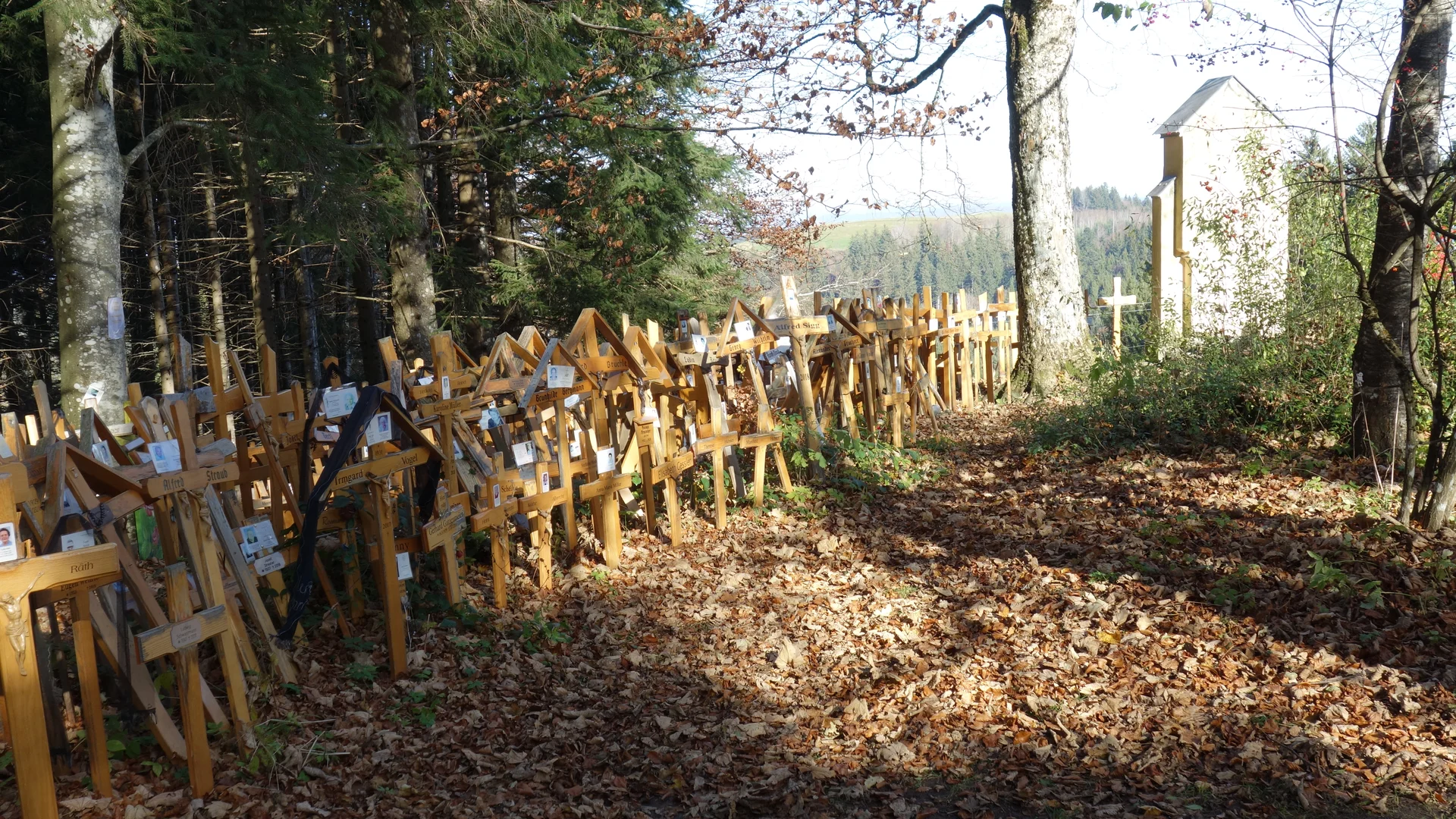 © DAV/Siegfried Stanzel