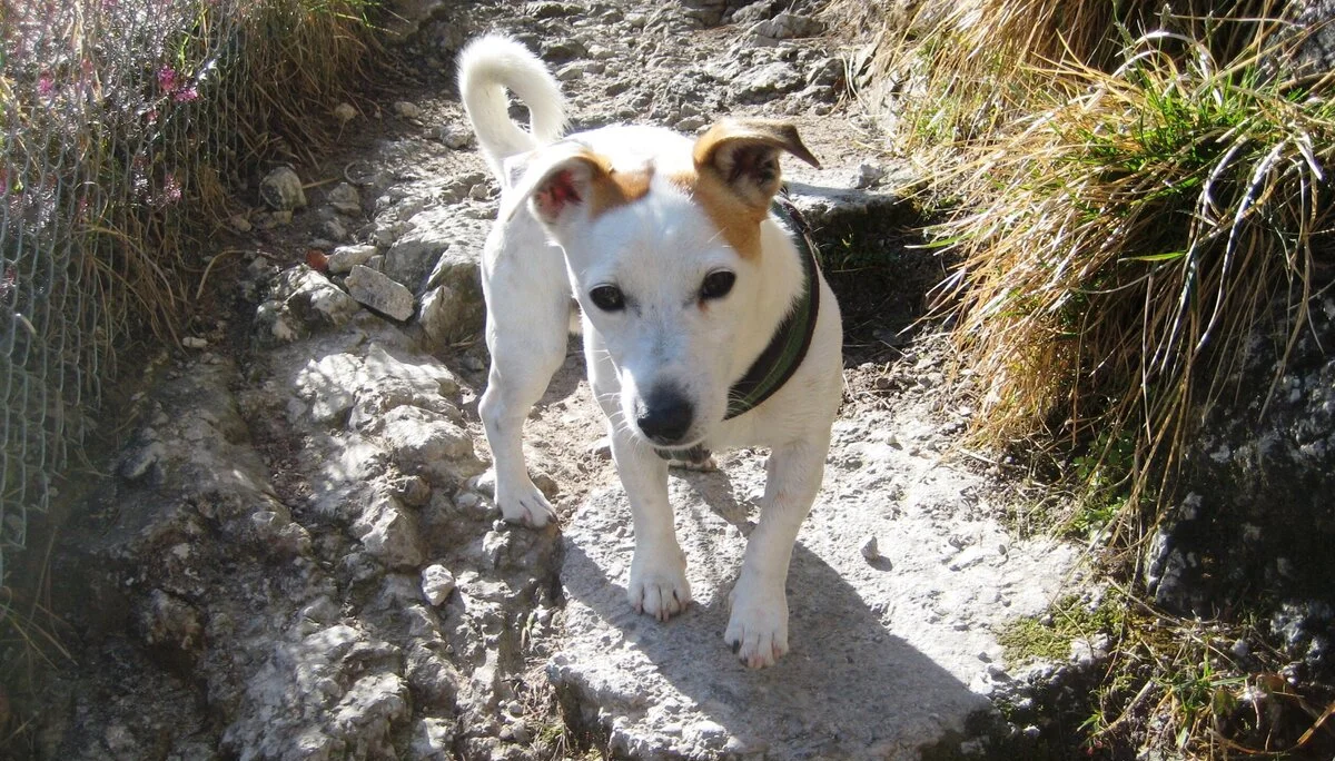 © DAV/ Siegfried Stanzel