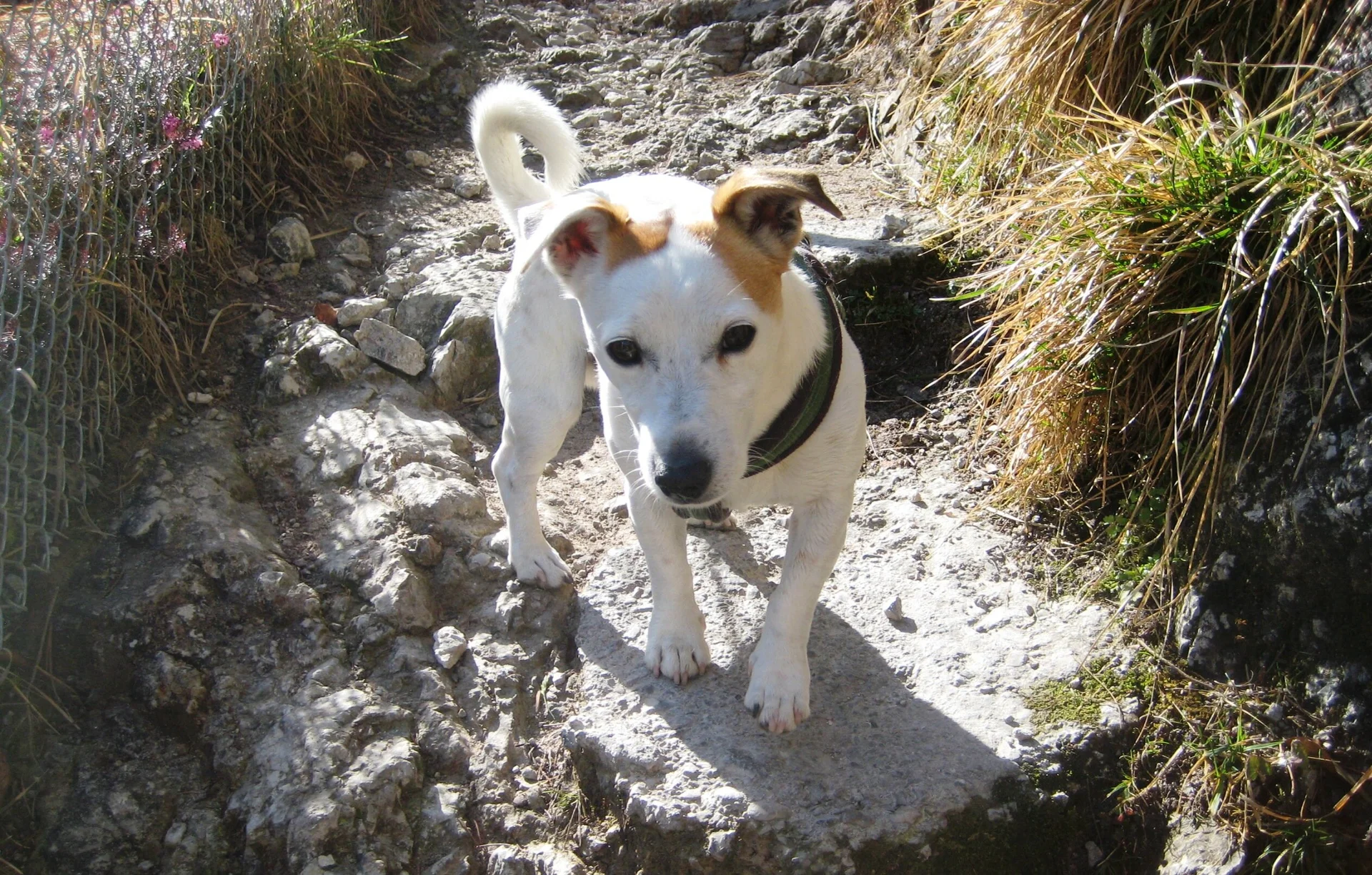 © DAV/ Siegfried Stanzel